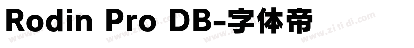 Rodin Pro DB字体转换